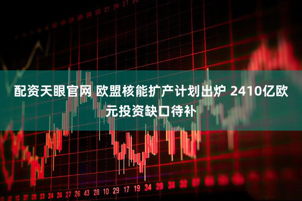 配资天眼官网 欧盟核能扩产计划出炉 2410亿欧元投资缺口待补