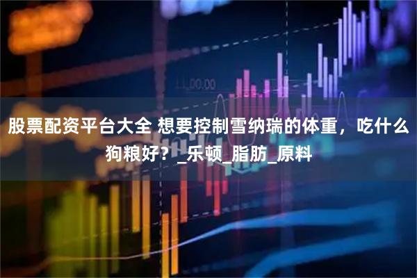 股票配资平台大全 想要控制雪纳瑞的体重，吃什么狗粮好？_乐顿_脂肪_原料