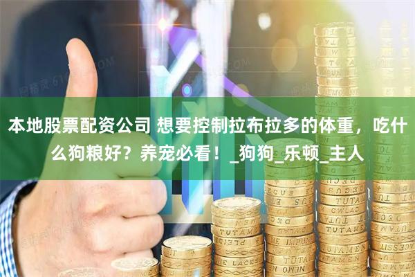 本地股票配资公司 想要控制拉布拉多的体重，吃什么狗粮好？养宠必看！_狗狗_乐顿_主人